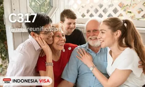 c317 visa family